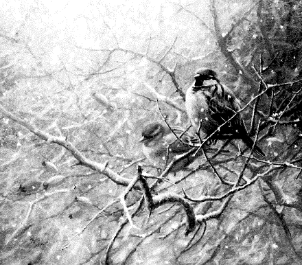 Bildschirmfoto 2018-08-23 um 16.01.42